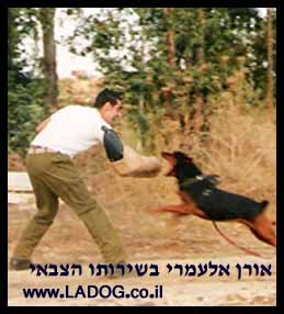 אורן אלעמרי- מאלף כלבים בשירותו הצבאי